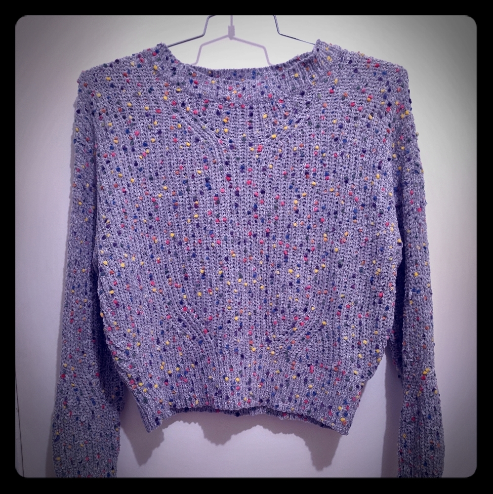 Wild Fable cropped sweater